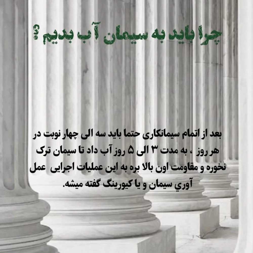 1756590303189.webp